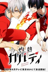 Пламенное кабадди Смотреть 1,2,3,4,5-11,12 Серия