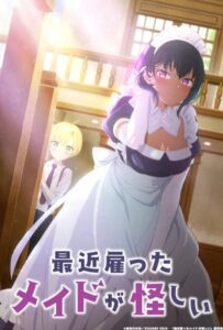 Моя новая горничная очень подозрительна Смотреть 1,2,3,4,5-11,12 Серия